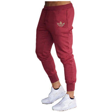 Load image into Gallery viewer, 2019 autumn new Men Fitness Sweatpants male gyms Bodybuilding workout cotton trousers Casual Joggers sportswear Pencil pants
